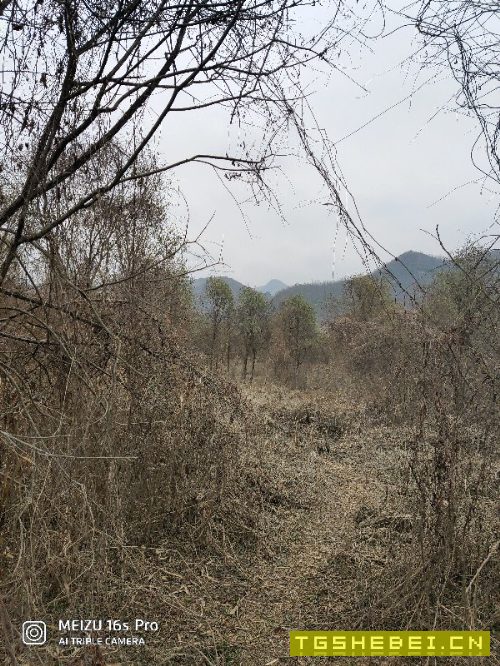 求购数控车和平面磨床