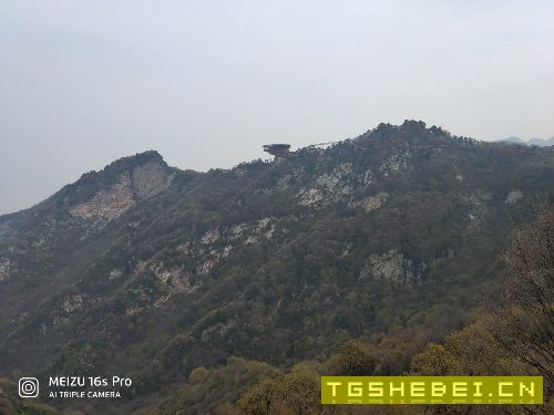 求购Y7163A磨齿机