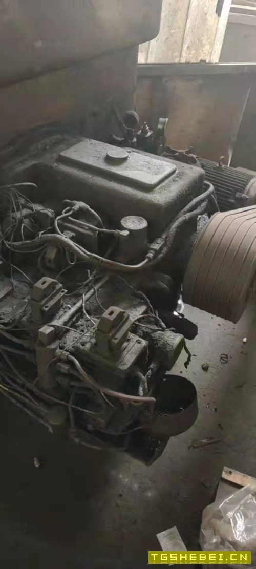 出售：正宗齐一1.6米立车