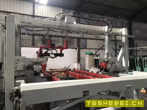 出售德国品牌(埃马克)定制柔性生产线EMAG数控双.