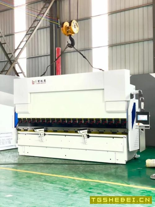 出售良智WF67K-100T/4000数控折弯机